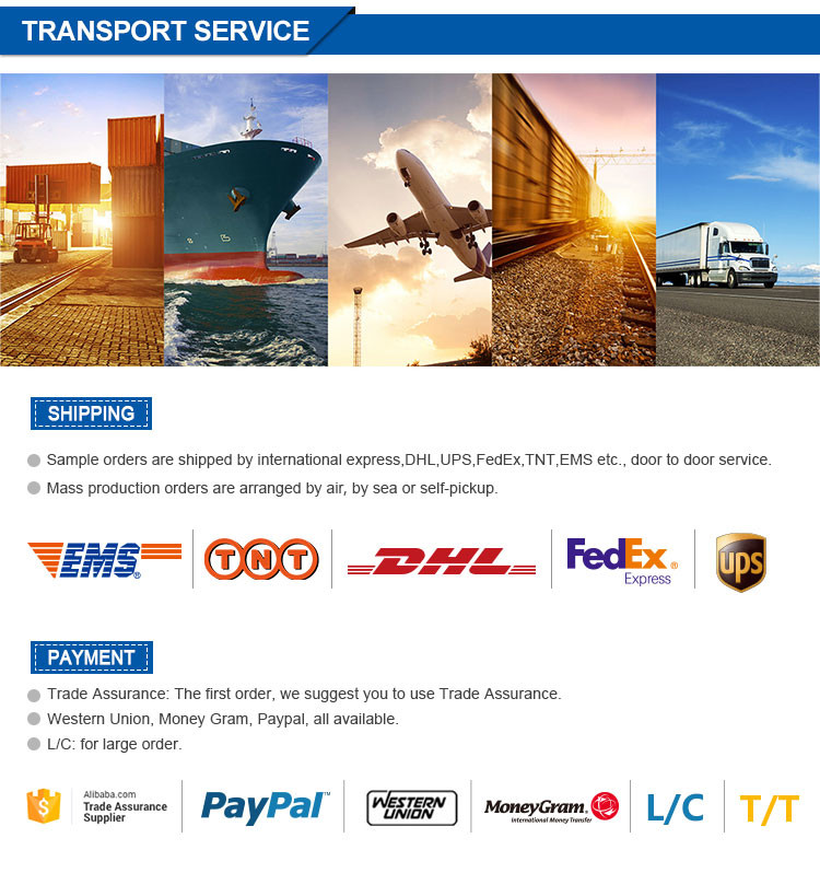 中国 Henan Bingsheng Industrial Co., Ltd. 会社概要